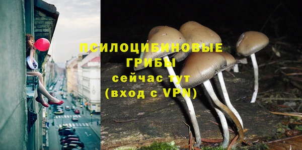мяу мяу мука Алексин