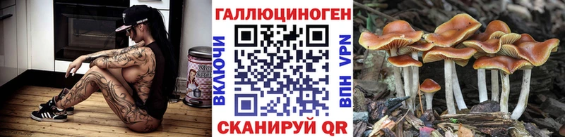 сайты даркнета клад  блэк спрут рабочий сайт  Углич  Псилоцибиновые грибы мухоморы 